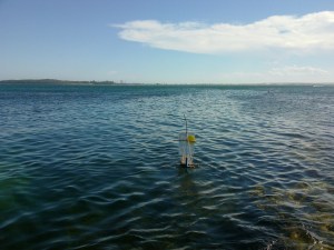 Flotsam rubbish sailing boats