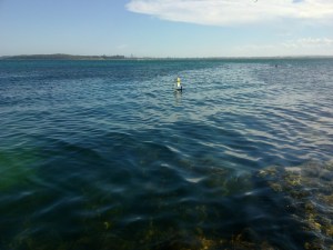 Flotsam rubbish sailing boats
