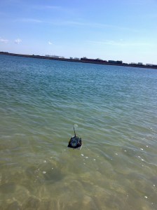 Flotsam rubbish sailing boats